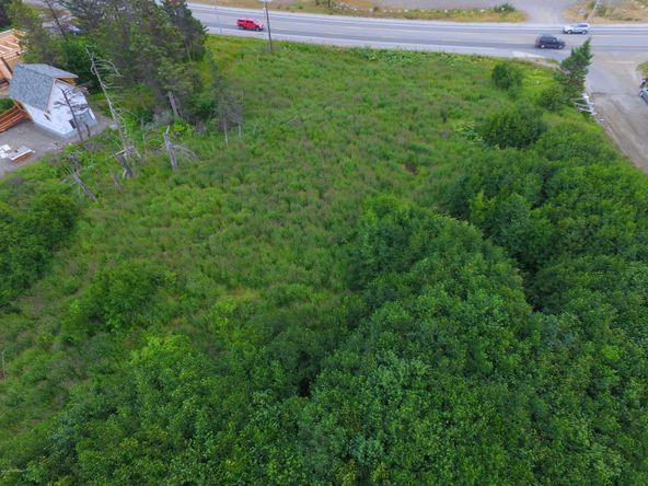 3658 Forest Glen Dr, Homer, AK 99603